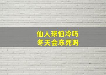 仙人球怕冷吗 冬天会冻死吗